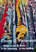 NYC - New York Botanical Gardens - Ebony G. Patterson Exhibit - 6-4-23